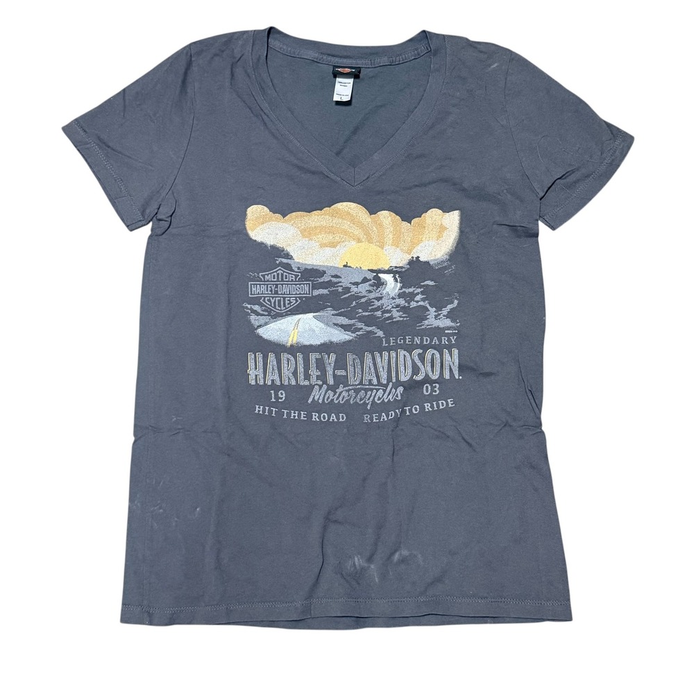 Harley-Davidson Roswell New Mexico Alien Graphic T-Shirt Gray V-Neck Large